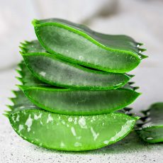Aloe vera sliced gray on white background.
