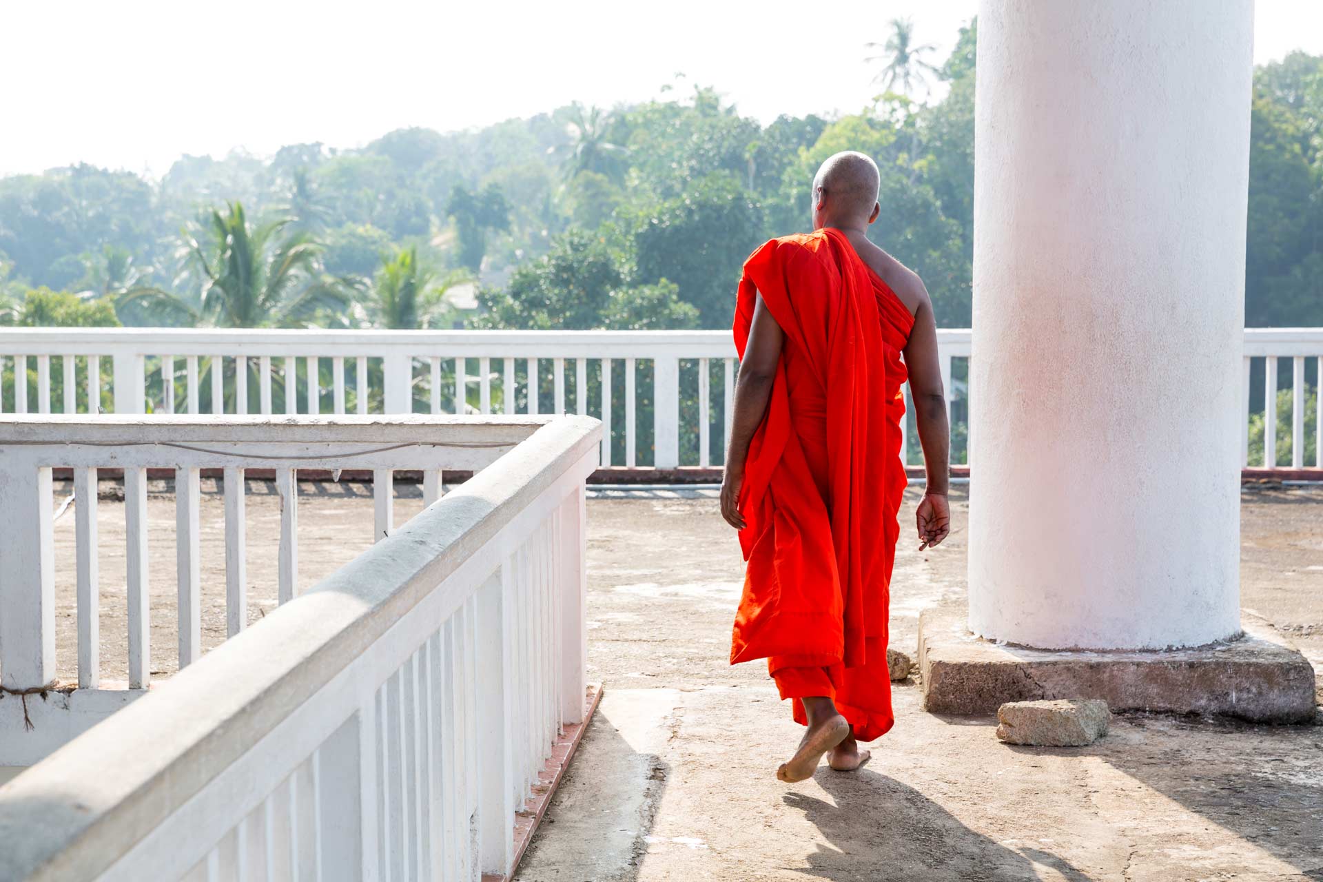 buddhist-in-buddha-temple-buddhism-religion-PGWTYEL